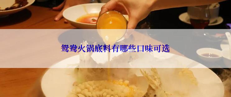 鸳鸯火锅底料有哪些口味可选