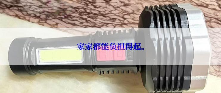 家家都能负担得起。