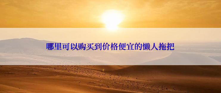 哪里可以购买到价格便宜的懒人拖把