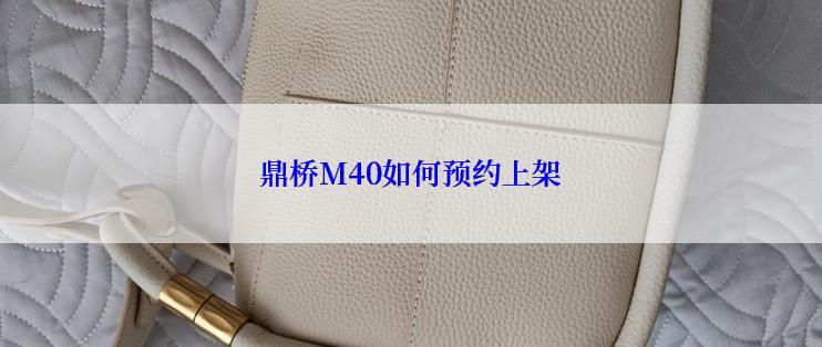 鼎桥M40如何预约上架