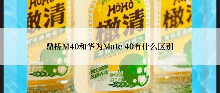 鼎桥M40和华为Mate 40有什么区别