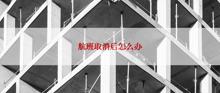 航班取消后怎么办