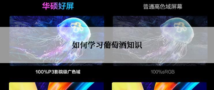 如何学习葡萄酒知识