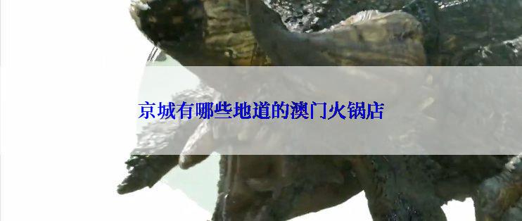 京城有哪些地道的澳门火锅店