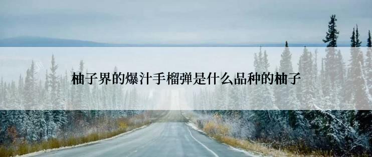 柚子界的爆汁手榴弹是什么品种的柚子