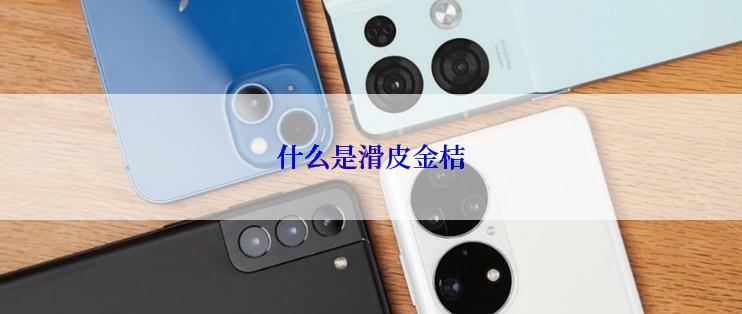 什么是滑皮金桔