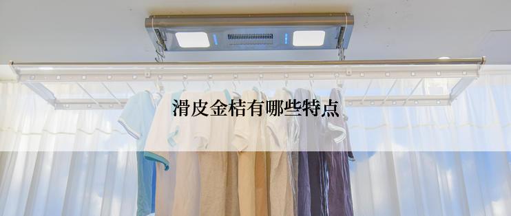 滑皮金桔有哪些特点