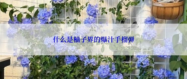 什么是柚子界的爆汁手榴弹