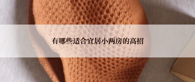 有哪些适合宜居小两房的高招