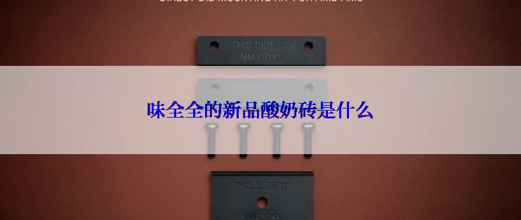 味全全的新品酸奶砖是什么