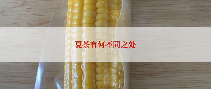 如何提高家居心情