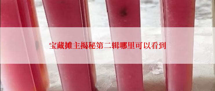 宝藏摊主揭秘第二辑哪里可以看到
