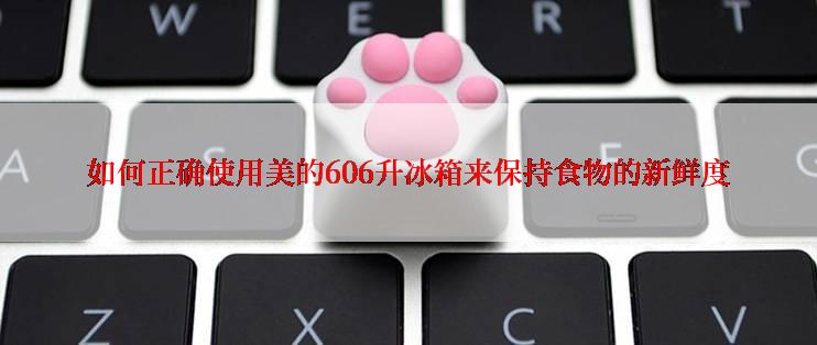 如何正确使用美的606升冰箱来保持食物的新鲜度