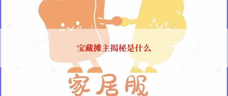 宝藏摊主揭秘是什么
