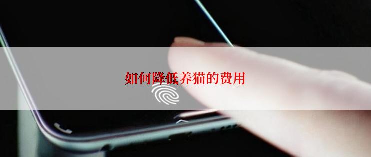 如何降低养猫的费用