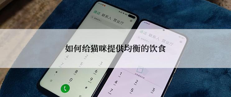 如何给猫咪提供均衡的饮食