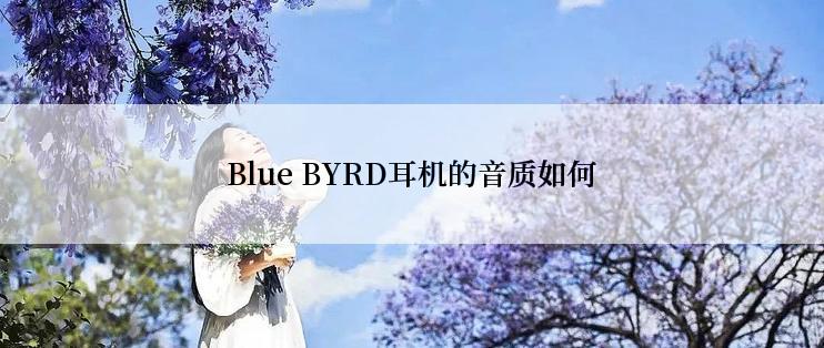 Blue BYRD耳机的音质如何