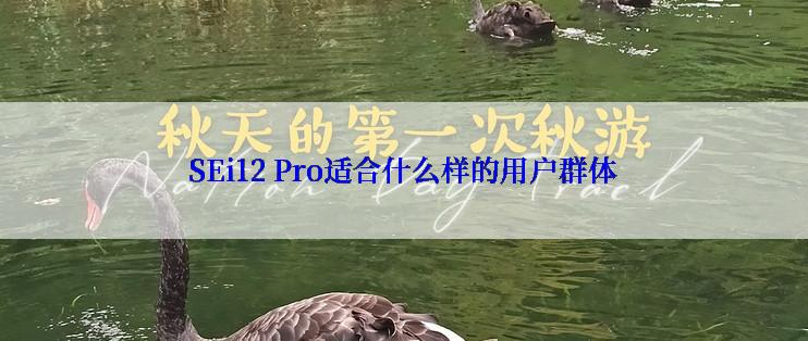 SEi12 Pro适合什么样的用户群体