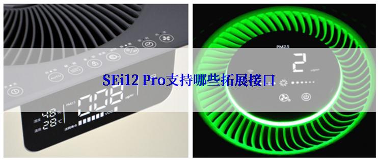 SEi12 Pro支持哪些拓展接口