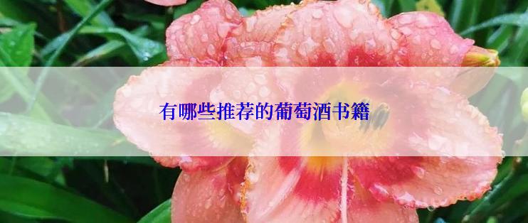 有哪些推荐的葡萄酒书籍