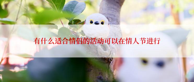 有什么适合情侣的活动可以在情人节进行