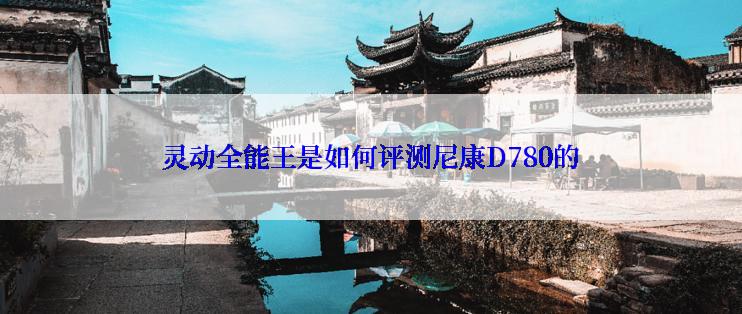 灵动全能王是如何评测尼康D780的