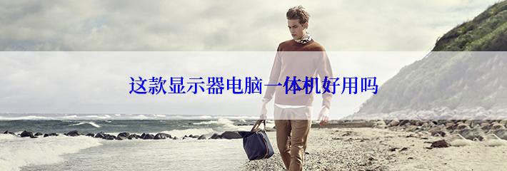 这款显示器电脑一体机好用吗