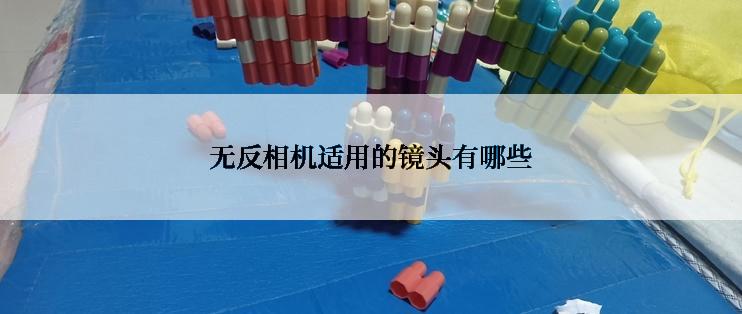 无反相机适用的镜头有哪些