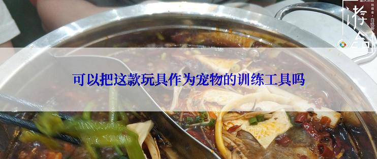 可以把这款玩具作为宠物的训练工具吗