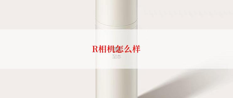 R相机怎么样
