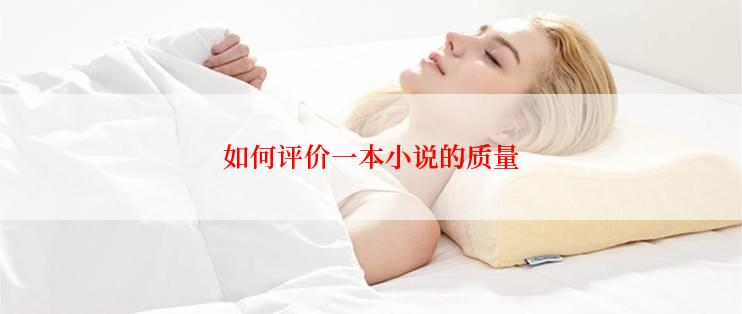 如何评价一本小说的质量