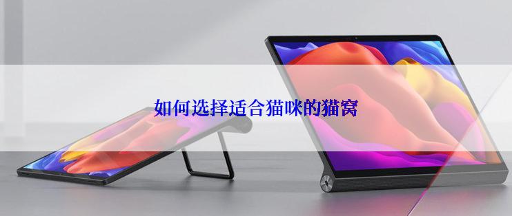 如何选择适合猫咪的猫窝