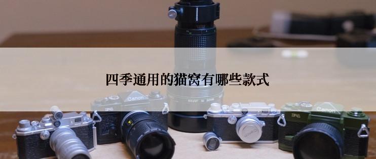 四季通用的猫窝有哪些款式