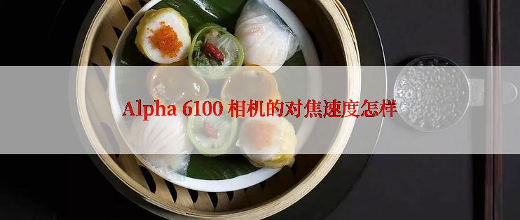 Alpha 6100 相机的对焦速度怎样