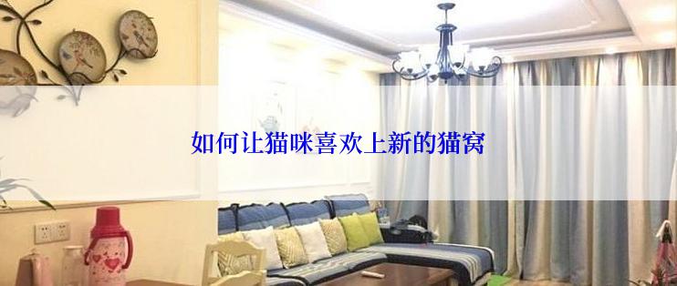 如何让猫咪喜欢上新的猫窝