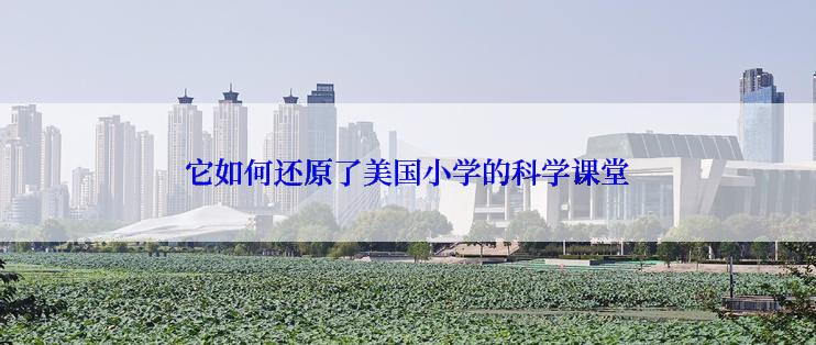 它如何还原了美国小学的科学课堂