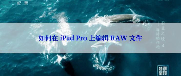 如何在 iPad Pro 上编辑 RAW 文件