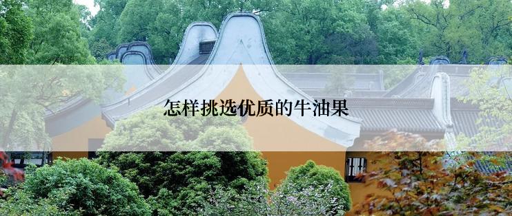 怎样挑选优质的牛油果