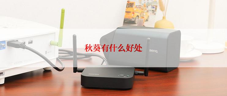 秋葵有什么好处