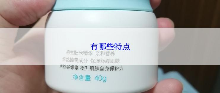 有哪些特点