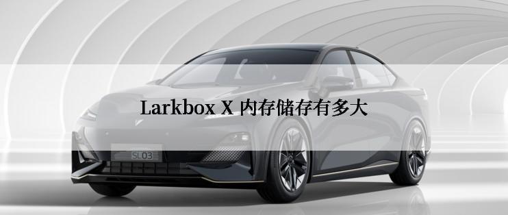 Larkbox X 内存储存有多大