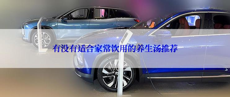 有没有适合家常饮用的养生汤推荐