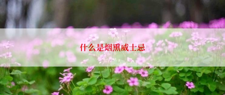 什么是烟熏威士忌