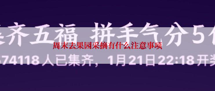 周末去果园采摘有什么注意事项