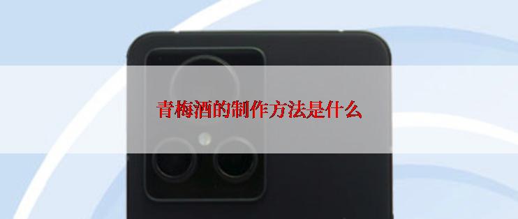 青梅酒的制作方法是什么
