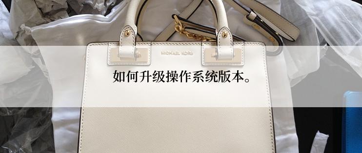 如何升级操作系统版本。