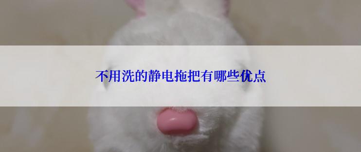 不用洗的静电拖把有哪些优点