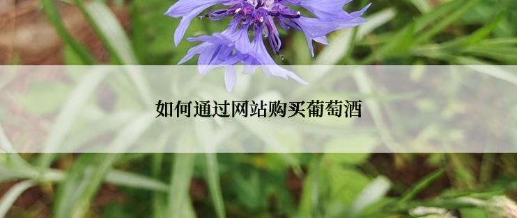 如何通过网站购买葡萄酒