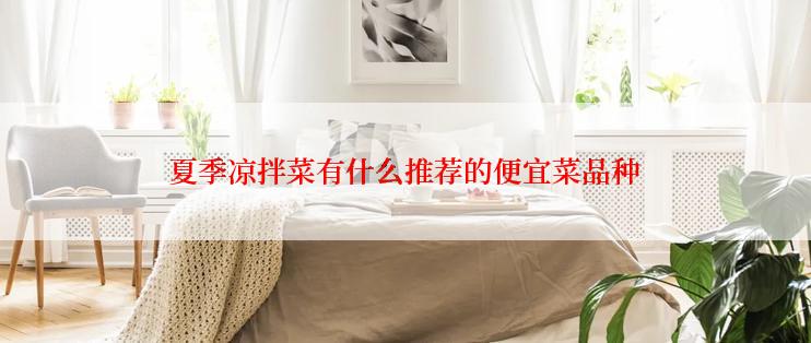 夏季凉拌菜有什么推荐的便宜菜品种