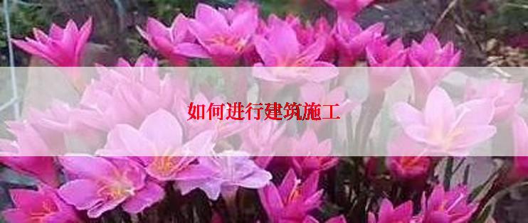如何进行建筑施工